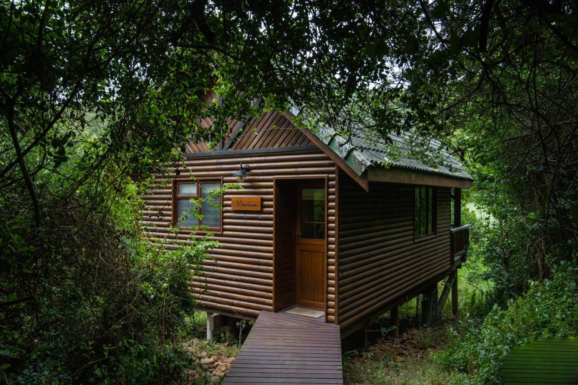 Thunzi Bush Lodge Beachview Exterior foto